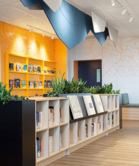 image of Book Shelves