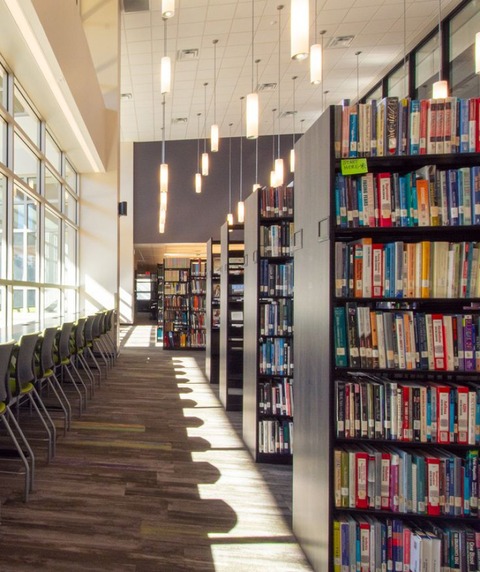 image of Book Shelves